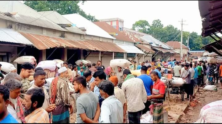 সালথায় পেঁয়াজের ন্যায্য মূল্য না পেলে অনেক ক্ষতির মুখে পড়বে চাষিরা