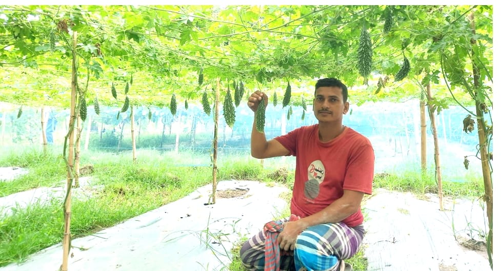 মানিকগঞ্জে সবজি চাষে প্লাস্টিক মালচিং পেপার, স্বপ্ন বুনছেন চাষি