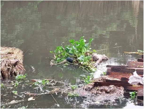 সালথায় অজ্ঞাত এর যুবকের অর্ধগলিত লাশ উদ্ধার করা হয়েছে