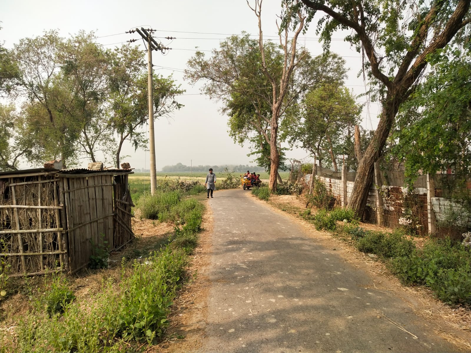 বাধাইড় ইউনিয়নে রাস্তার ওপর খুঁটি পুঁতে চলাচল বন্ধ, স্কুলের সম্পত্তি দখল ও সরকারি গাছ আত্মসাতের অভিযোগ; তদন্তের দাবি