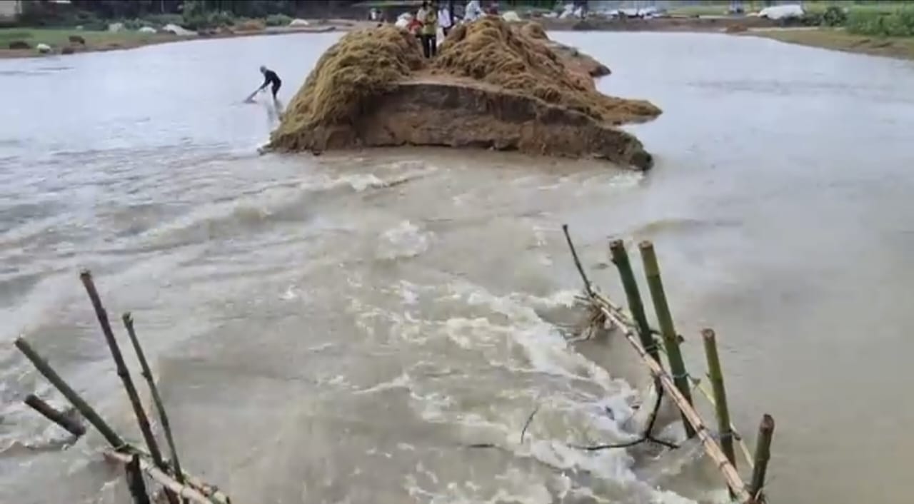 বাঁধ ভেঙে এরনবিলে পানি প্রবেশ, কয়েকশো কৃষকের ক্ষতির আশংকা