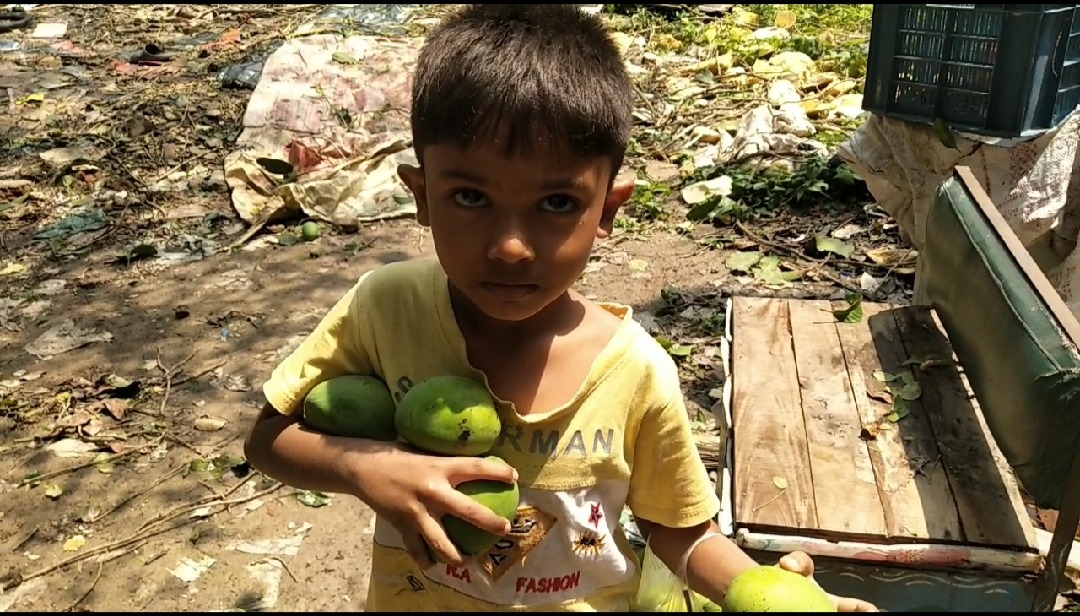 ভোরের আকস্মিক ঝড়ে লণ্ডভণ্ড তানোর