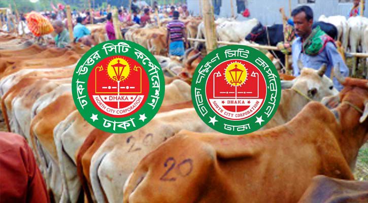 উন্মুক্ত টেন্ডারের নামে জালিয়াতি করে হাট বরাদ্দের অভিযোগ !