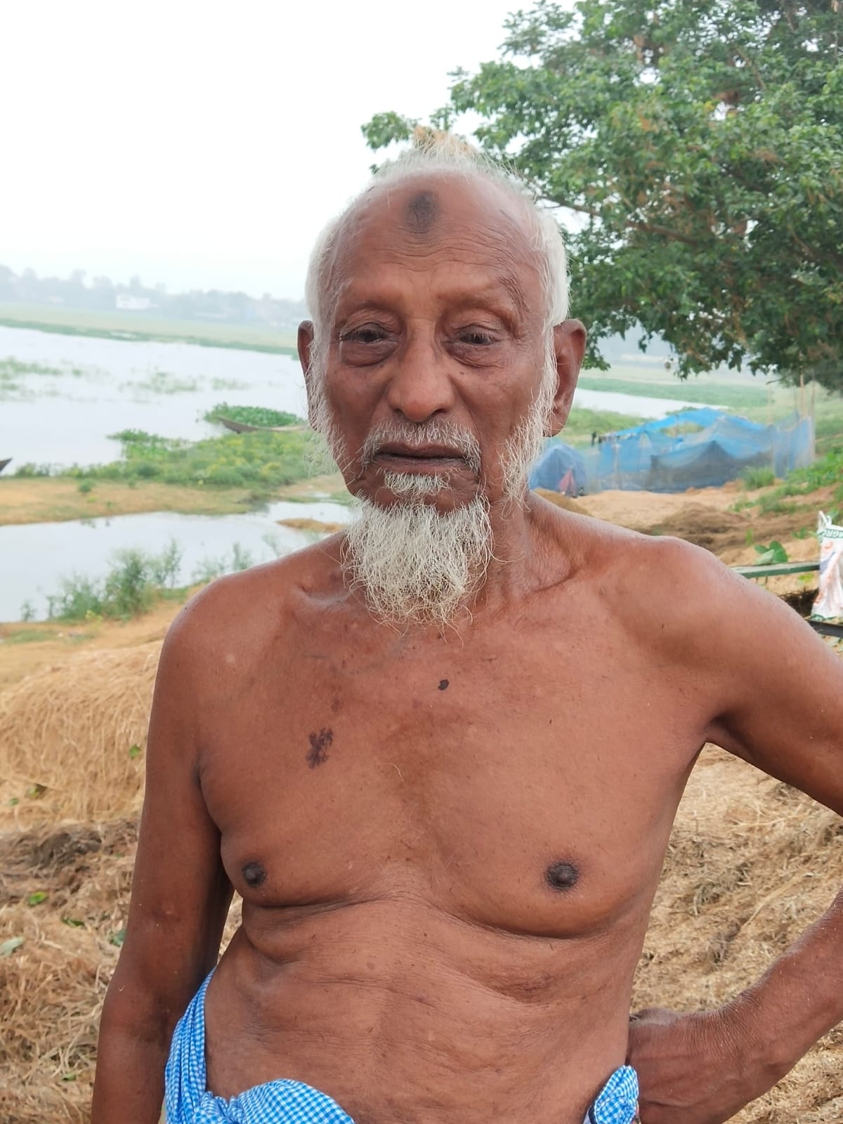 তানোরে বিনা পারিশ্রমিকে শিব নদীর পাড়ে সবুজের ছায়া গড়েছেন গাছপ্রেমী মোয়াজ্জেম জাবেদ আলি