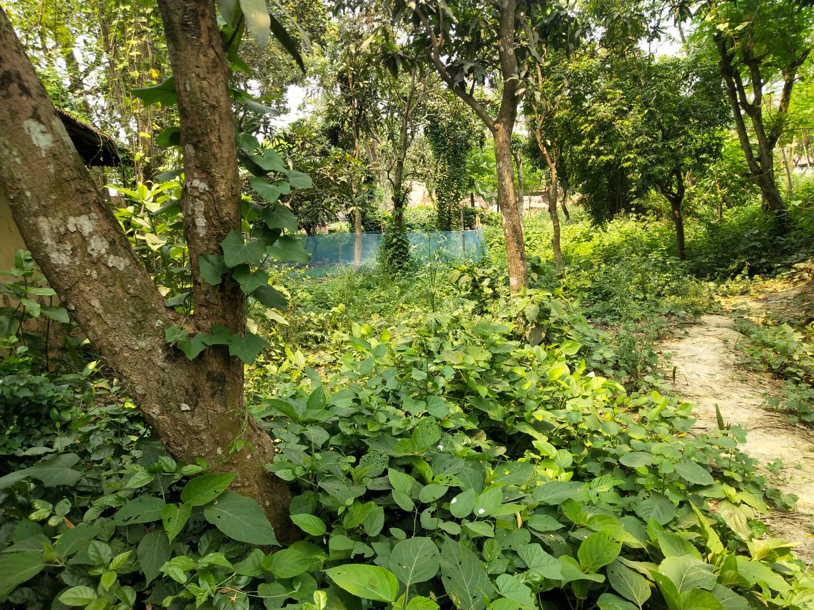তানোর উপজেলার করিমপুর গ্রামের সরকারি গোরস্থানের জমি দখলে চেষ্টার অভিযোগ, এলাকাজুড়ে উত্তেজনা