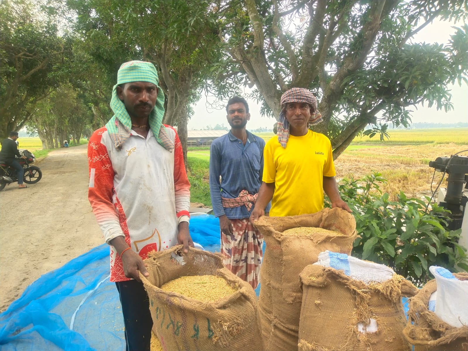 তানোরে কৃষকের দীর্ঘশ্বাস ধান, আম, আলু, পেঁয়াজ ও রসুনে ন্যায্যমূল্য না পেয়ে সর্বস্বান্ত হওয়ার পথে চাষিরা