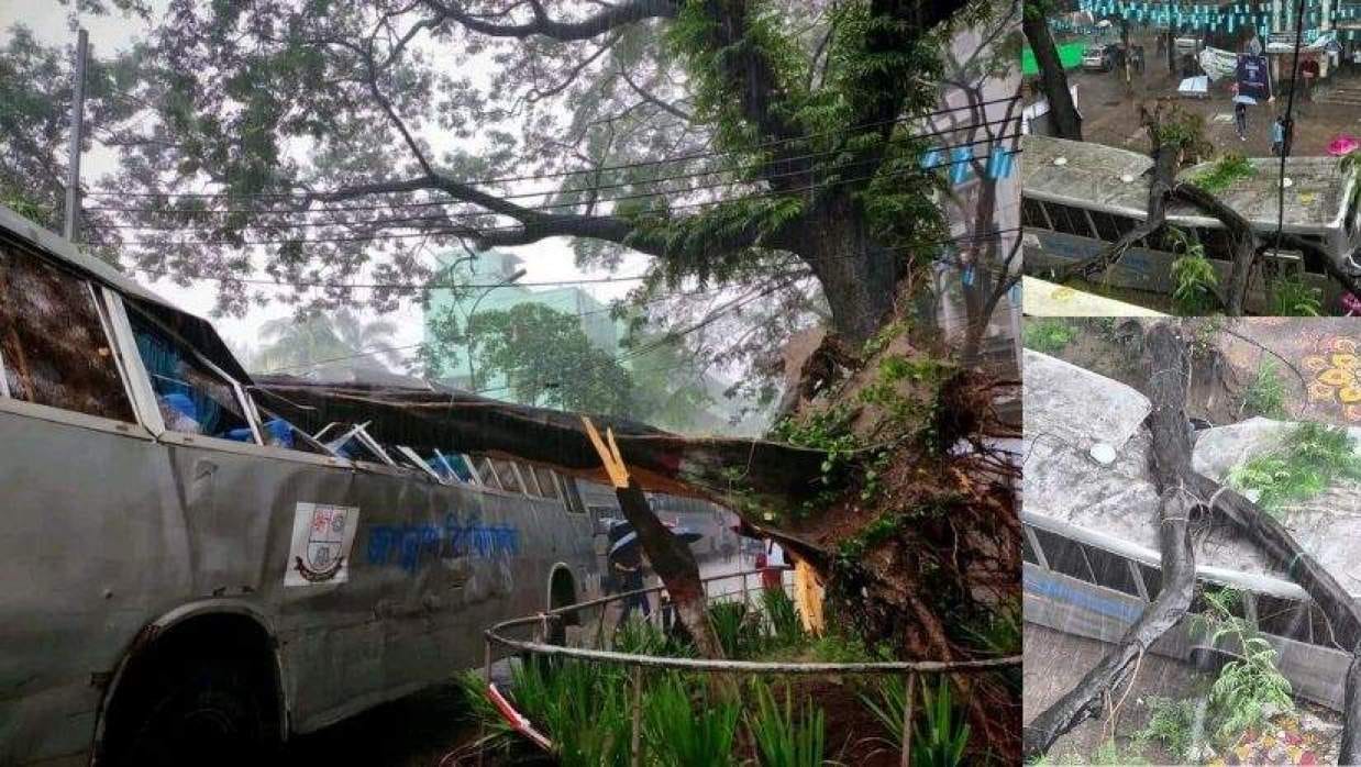জগন্নাথ বিশ্ববিদ্যালয়ের বাসের ওপর ভেঙে পড়ল গাছ