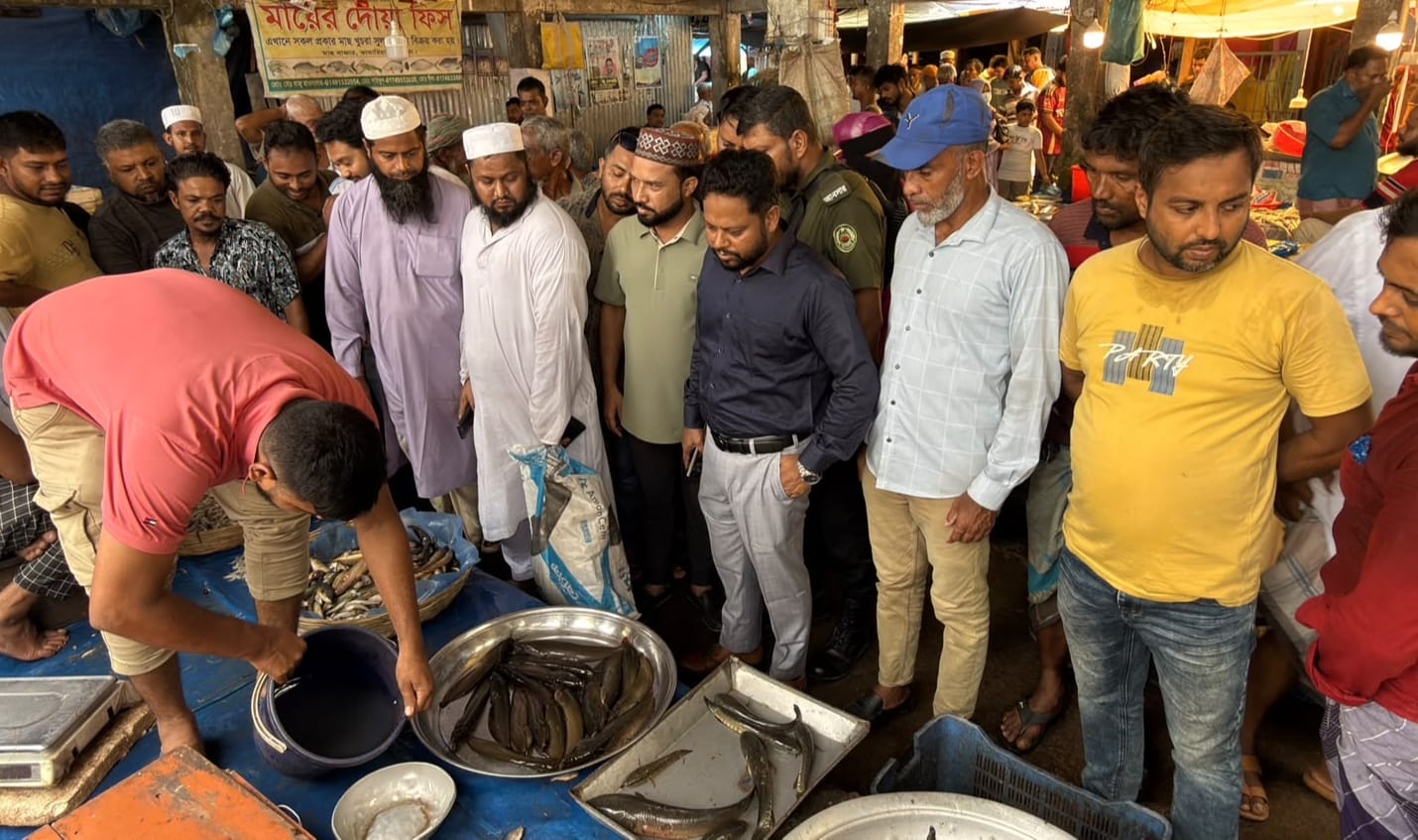 ভাণ্ডারিয়ায় মাছে ক্ষতিকারক রং মেশানোর দায়ে ৩ ব্যবসায়ীকে জরিমানা