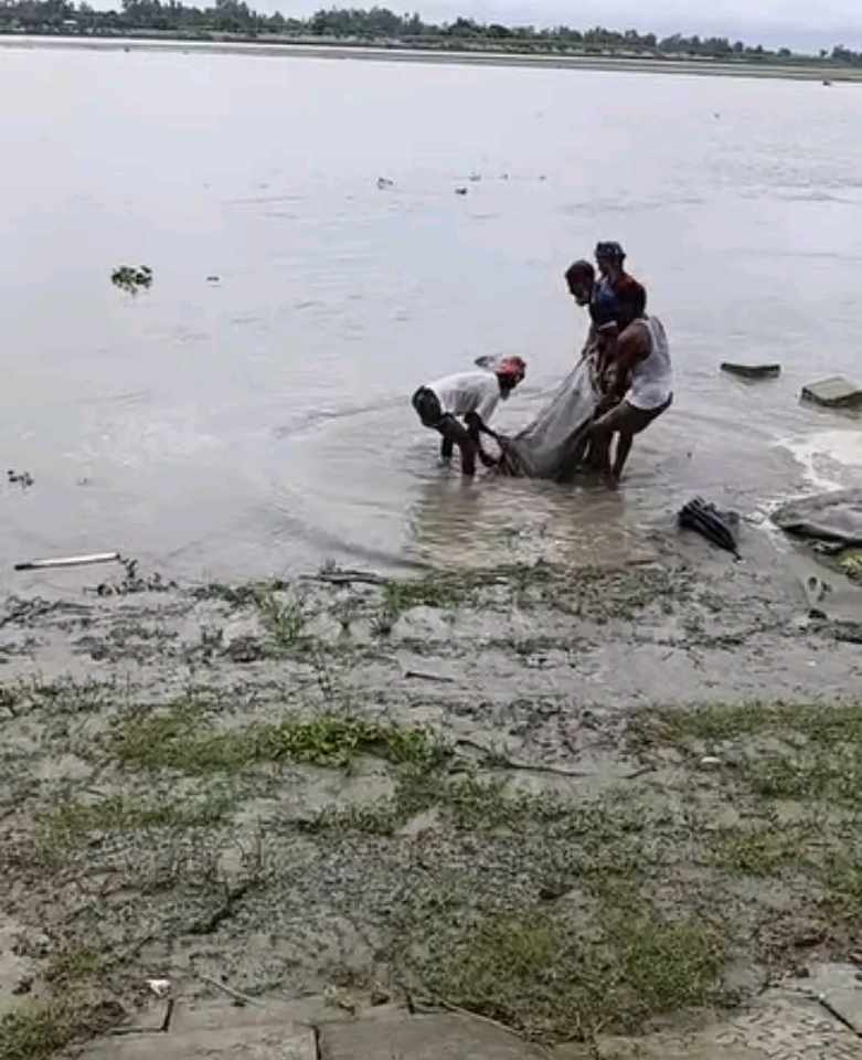 জিওব্যাগ কেটে খালি ব্যাগ চুরি: নাগেশ্বরীতে তীব্র নদীভাঙন আতঙ্ক