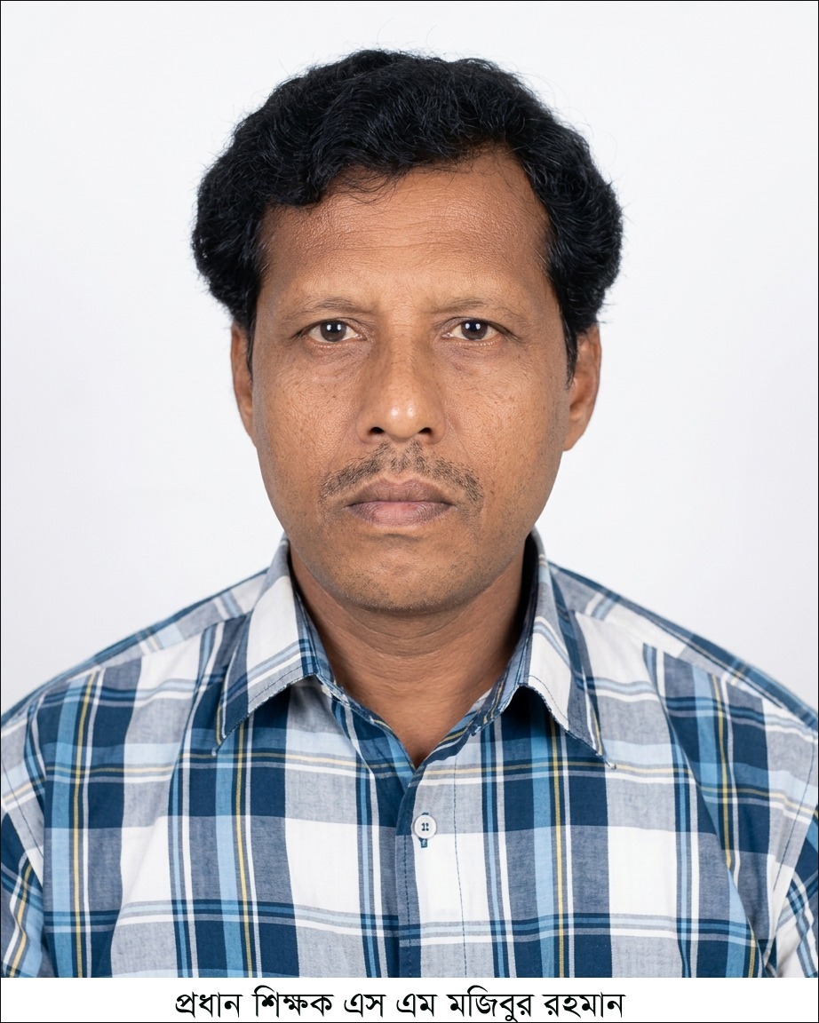 ভান্ডারিয়ায় পৌনে ১ কোটি টাকা আত্মসাৎসহ ২৪ অভিযোগে প্রধান শিক্ষককে শোকজ