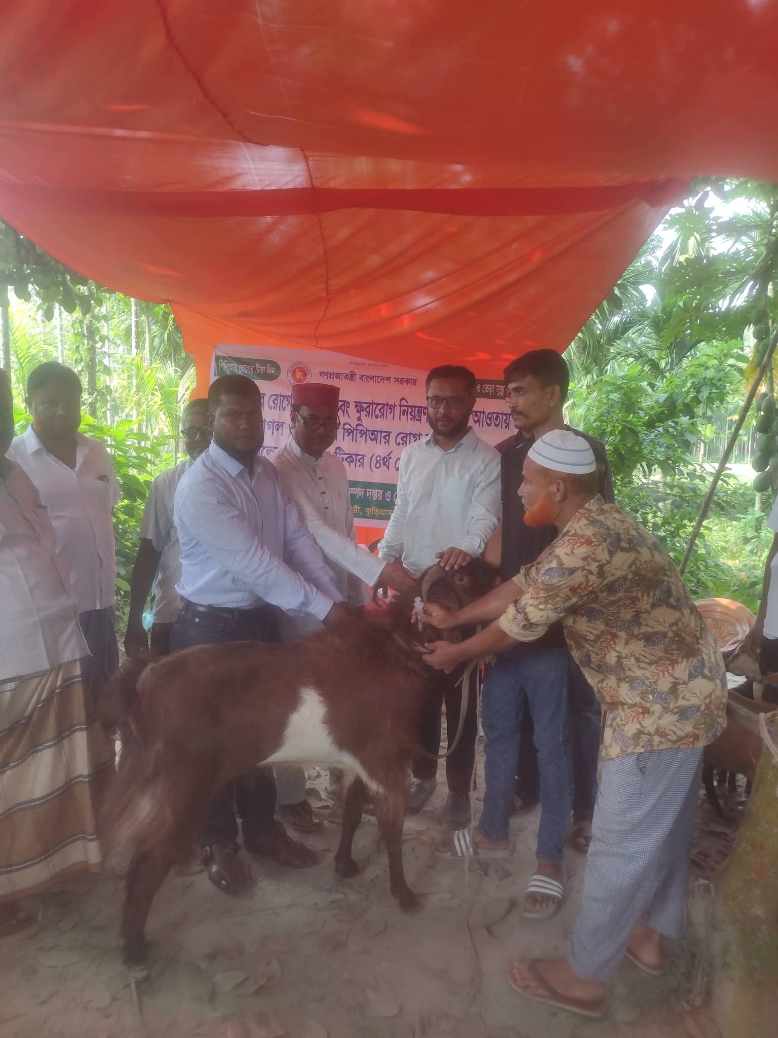 নাগেশ্বরীতে পিপিআর রোগের টিকাদান কর্মসূচির উদ্বোধন