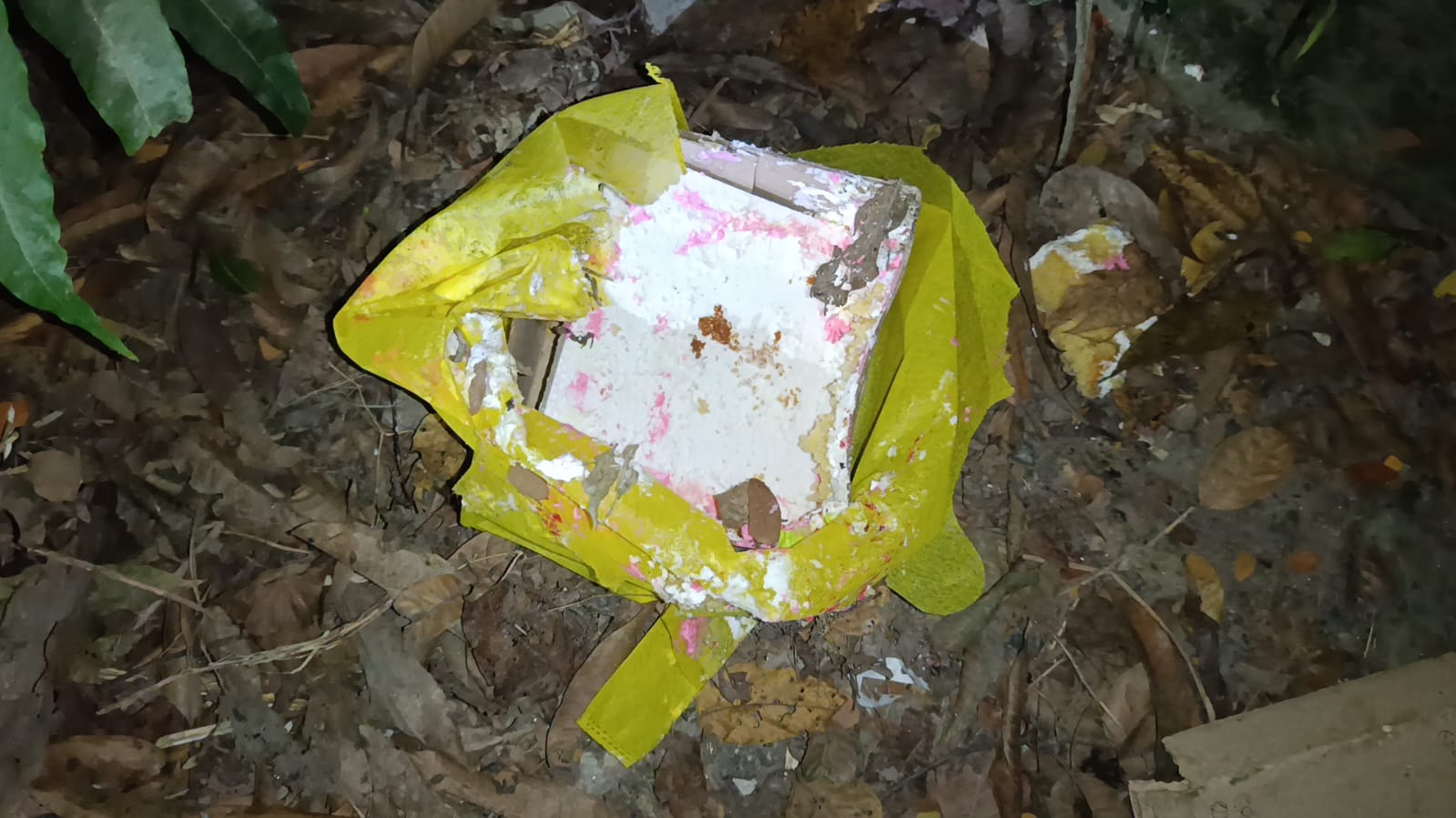 মাগুরা কুচিয়ামোড়া ইউনিয়ন আমুড়িয়া গ্রামে দুই মোটরসাইকেল আরোহীর জন্ম দিনের কেক খাওয়া আর হলো না